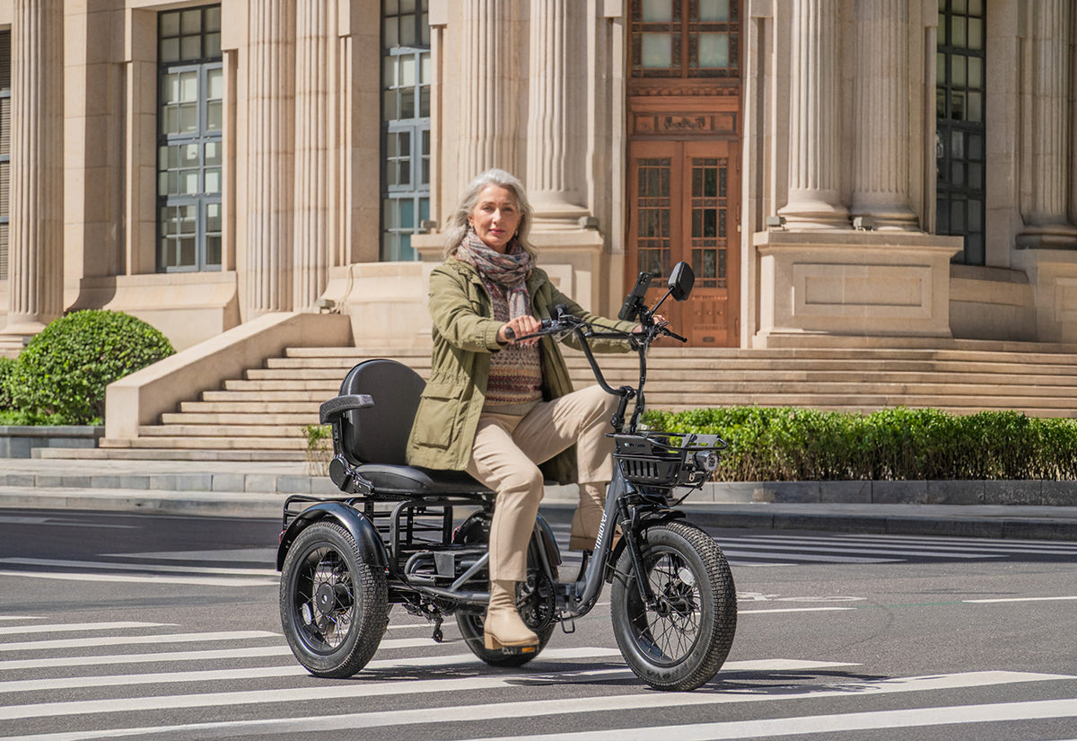 Creek Electric Passenger Trike for 2 Adults/Seniors