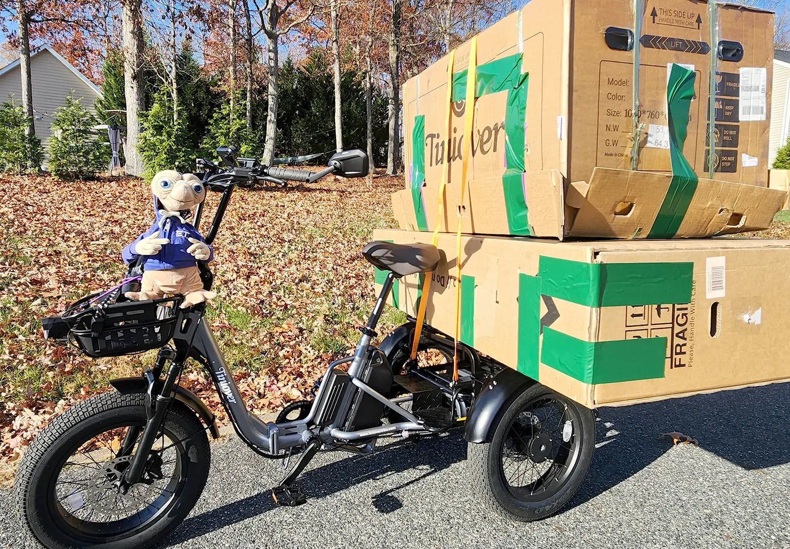 Creek Electric Passenger Trike for 2 Adults/Seniors